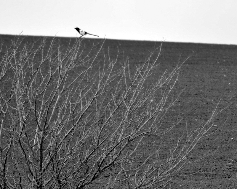 горЕзонт завален