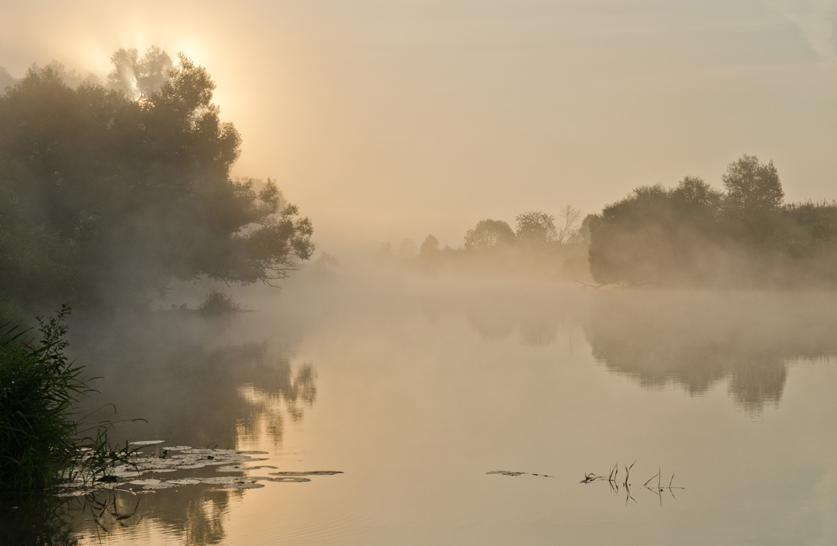 Будет светлым день