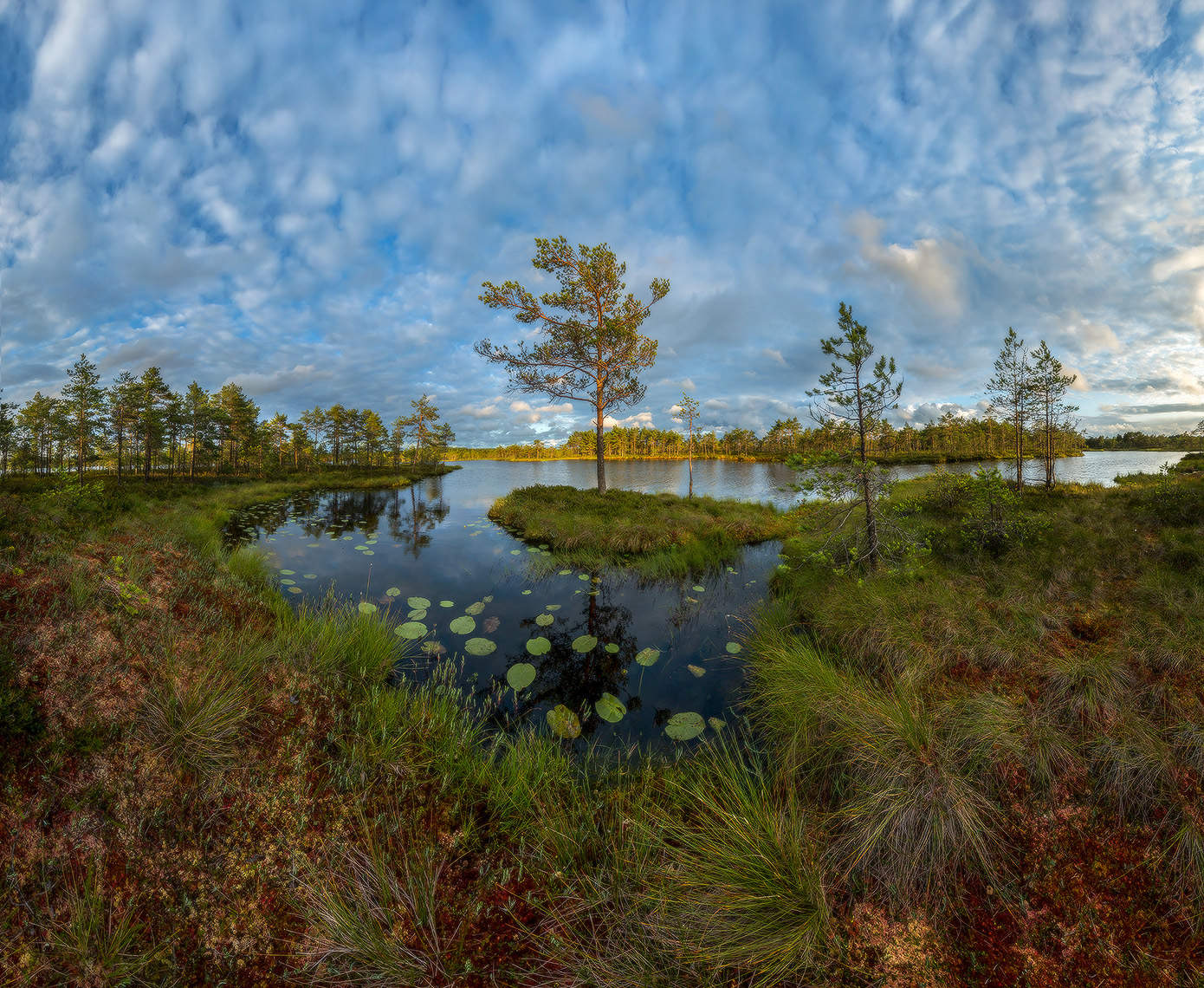 Красочное северное лето!