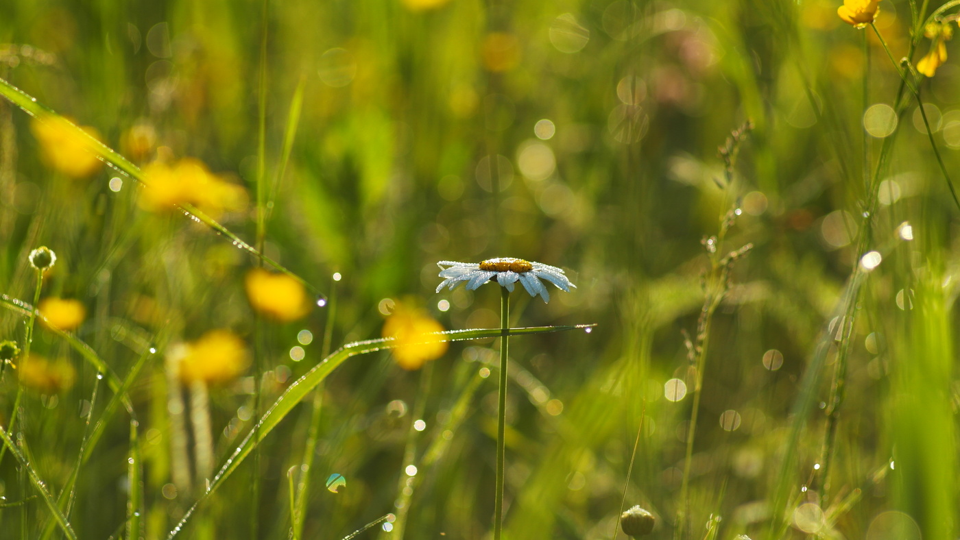 Доброе утро.
