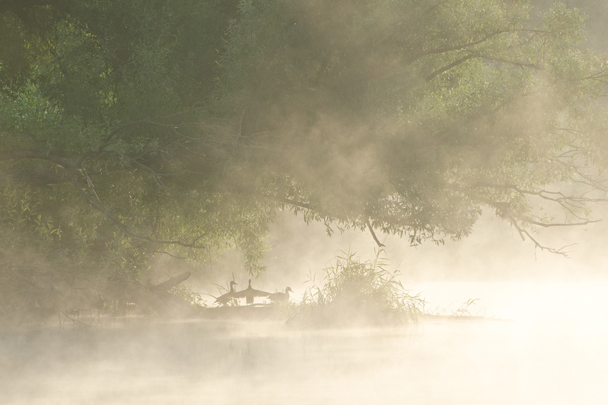 Укромное место
