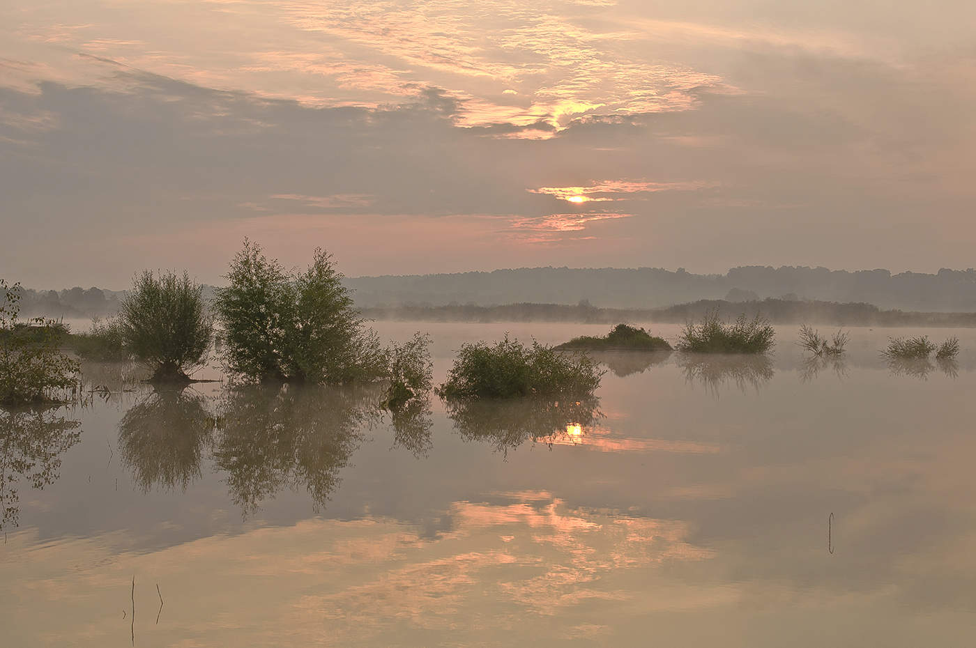 Утренняя свежесть