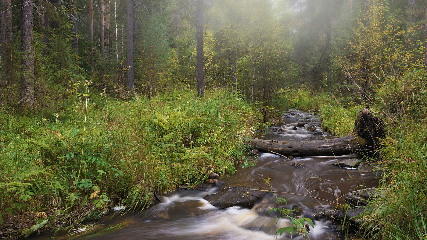 Скоро осень