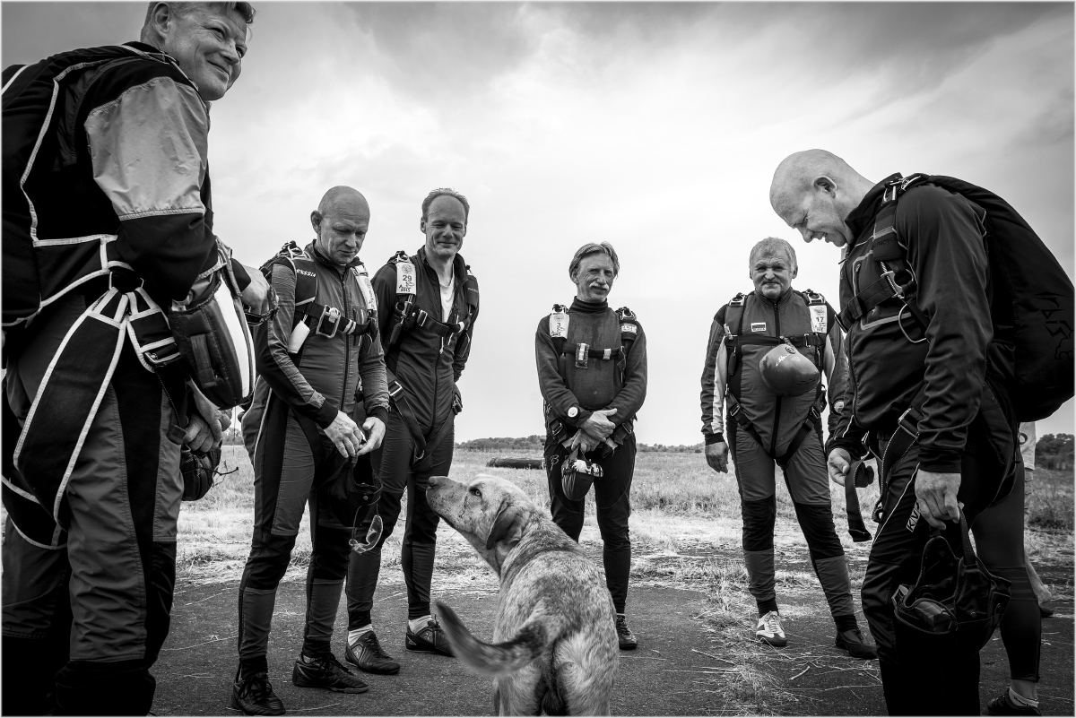 Провожатый...