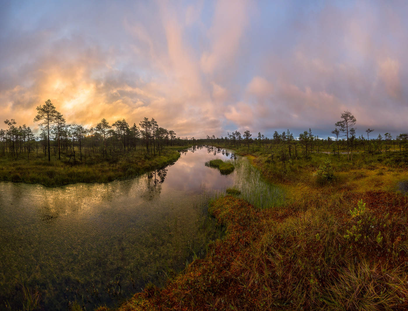 Акварельное болото.