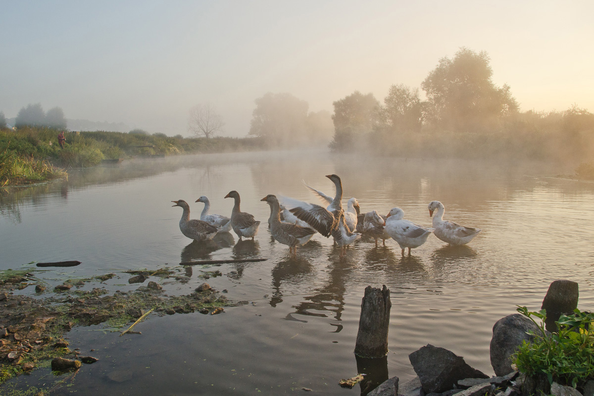 Элегия уходящего лета