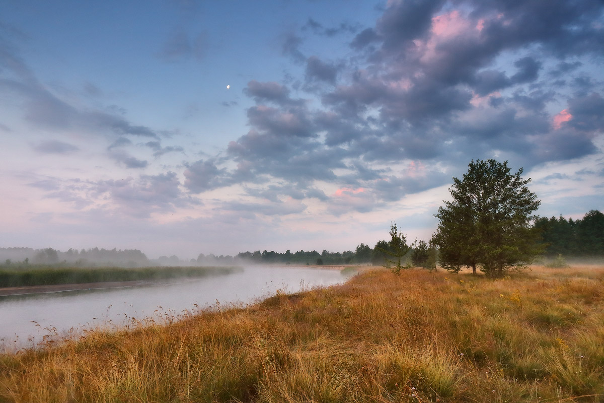 Утром на Щаре