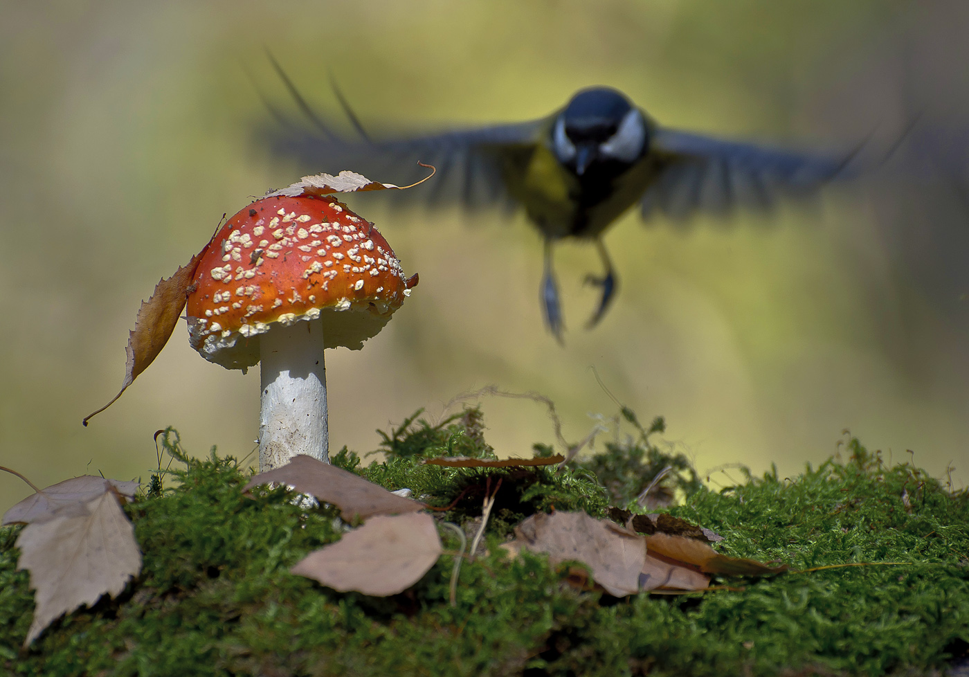 Пролетая над...