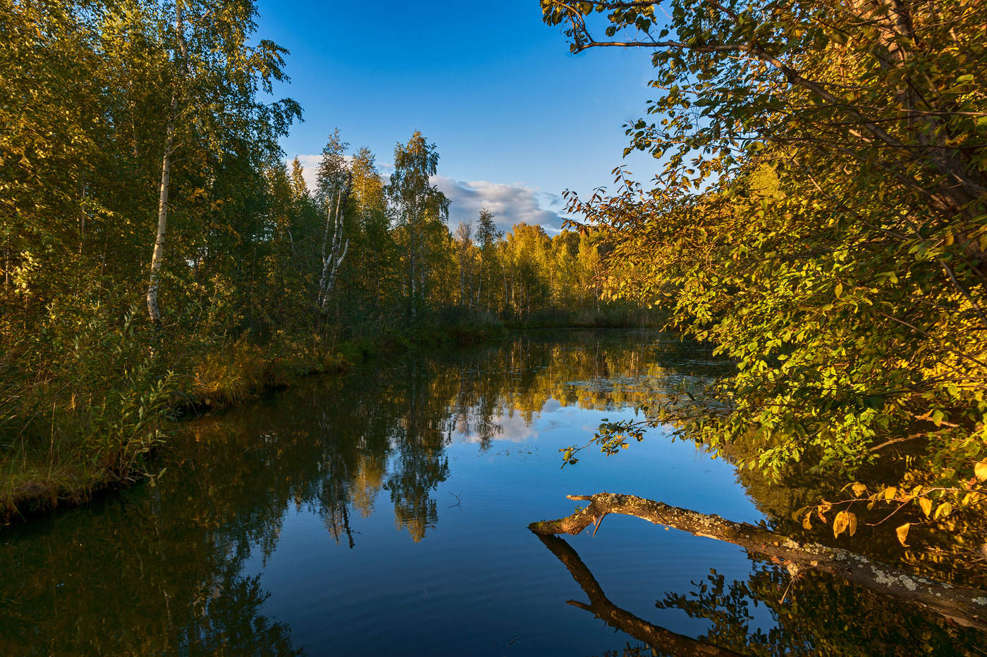 Тихий уголок