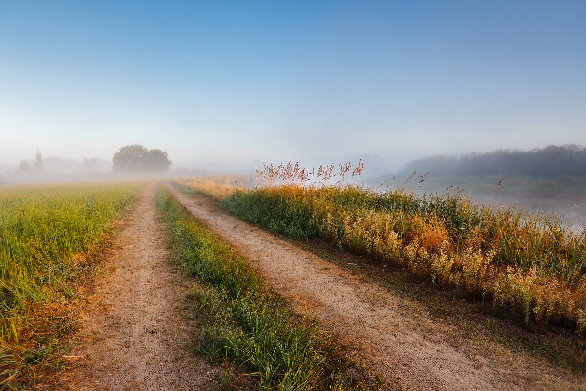 Утро под Березино