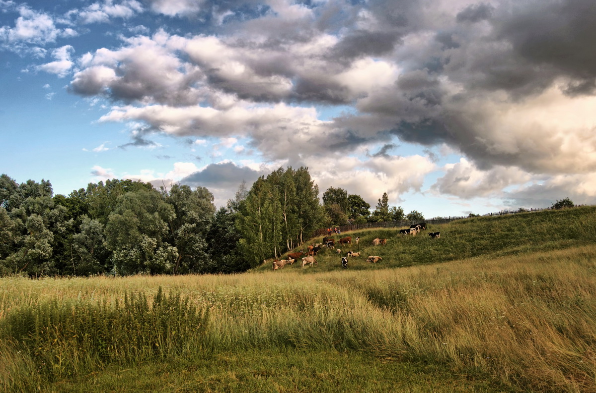 Нагнало тучки