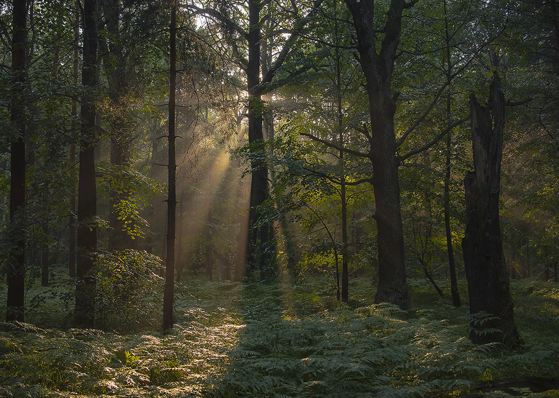 После дождя.