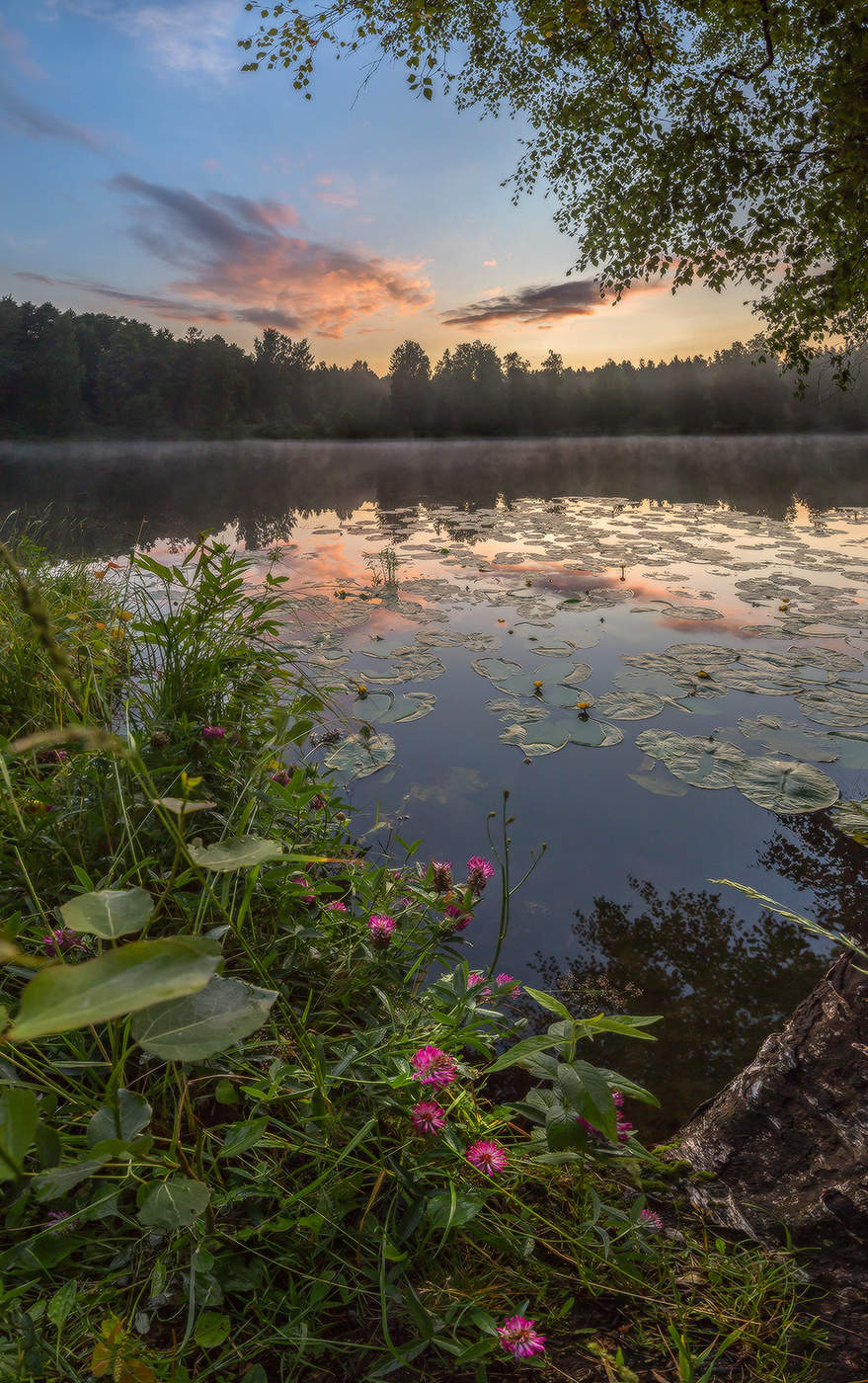 Вечер после дождя.