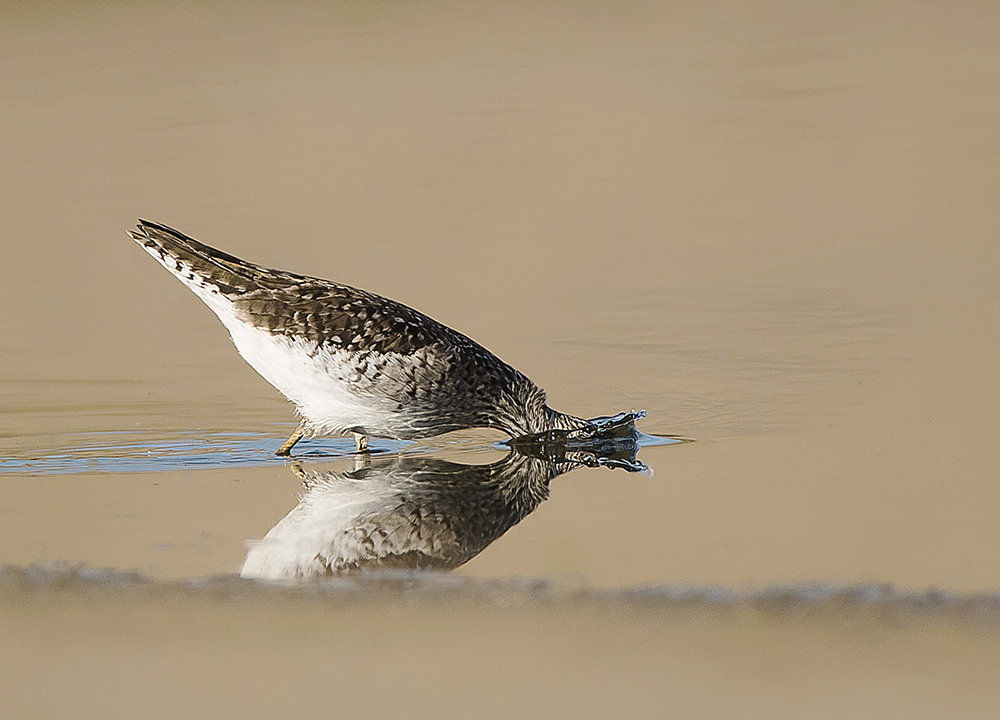 Не полная картина