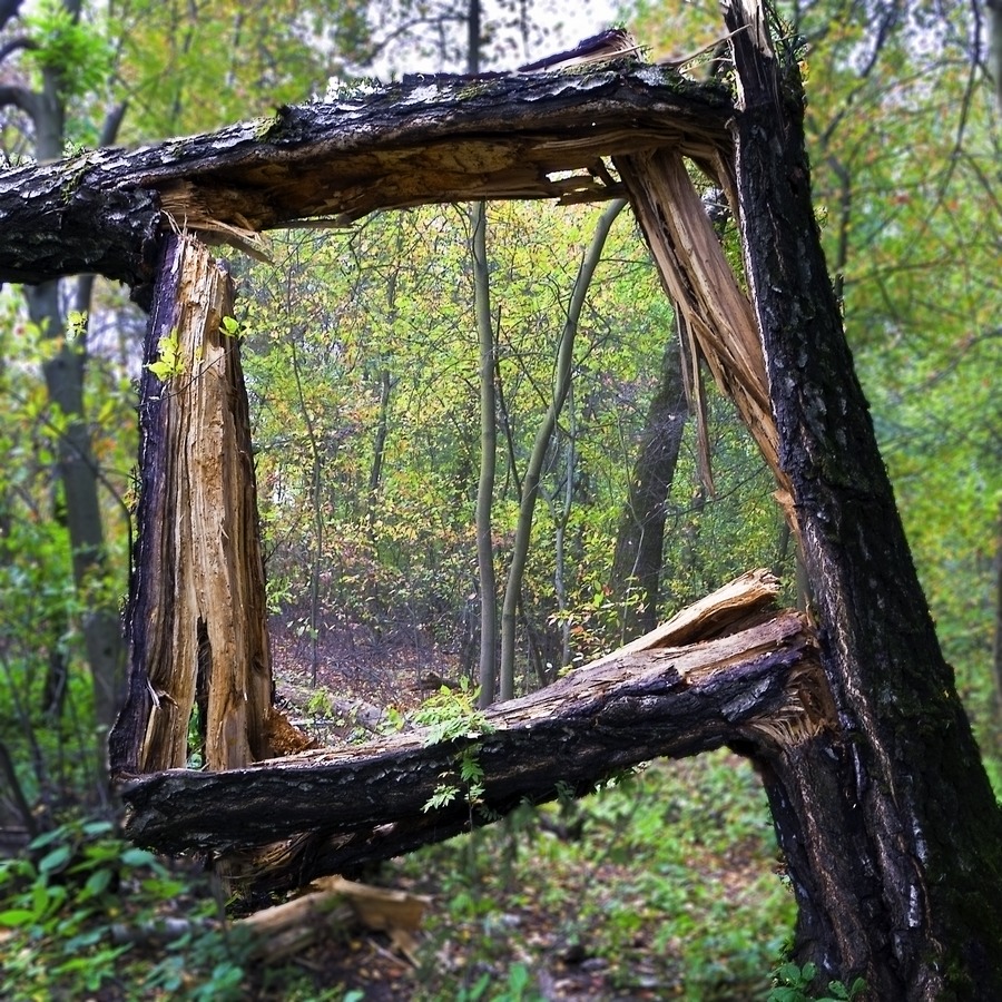 Не полная картина