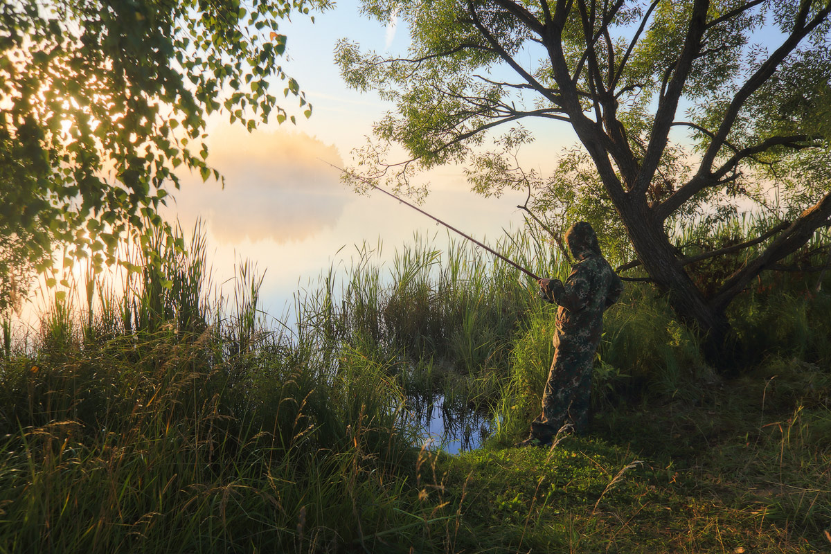 Утренние надежды