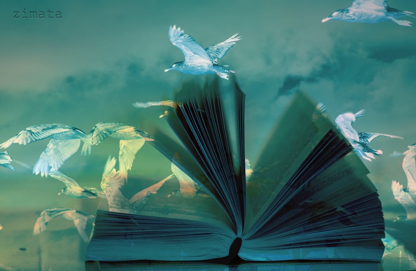 прочитанная книга