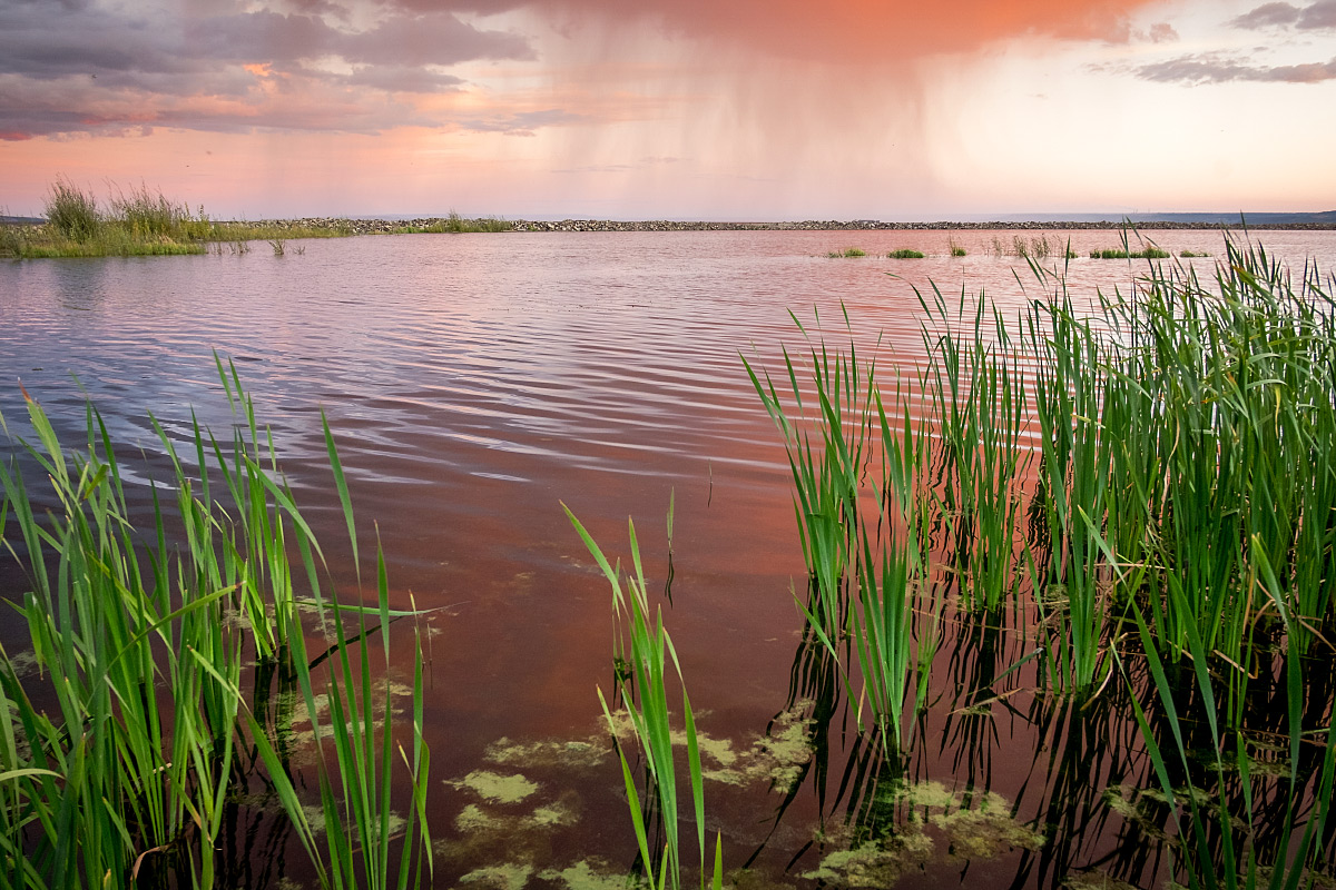 А где-то идут дожди...