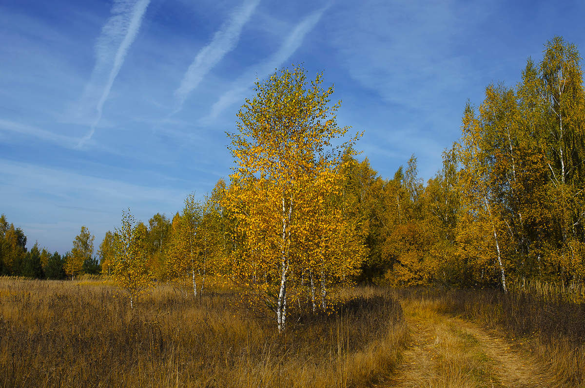 Прошлогодняя осень