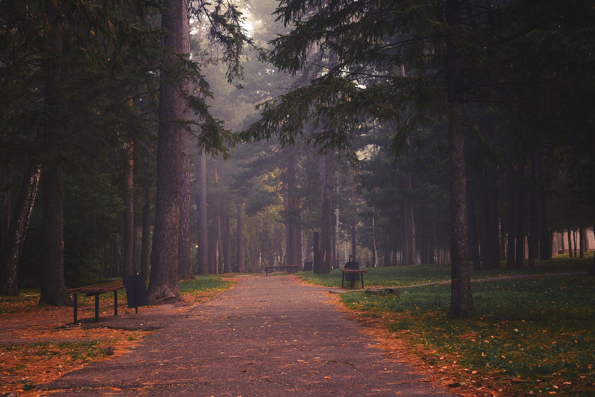 Прогулка по осени.