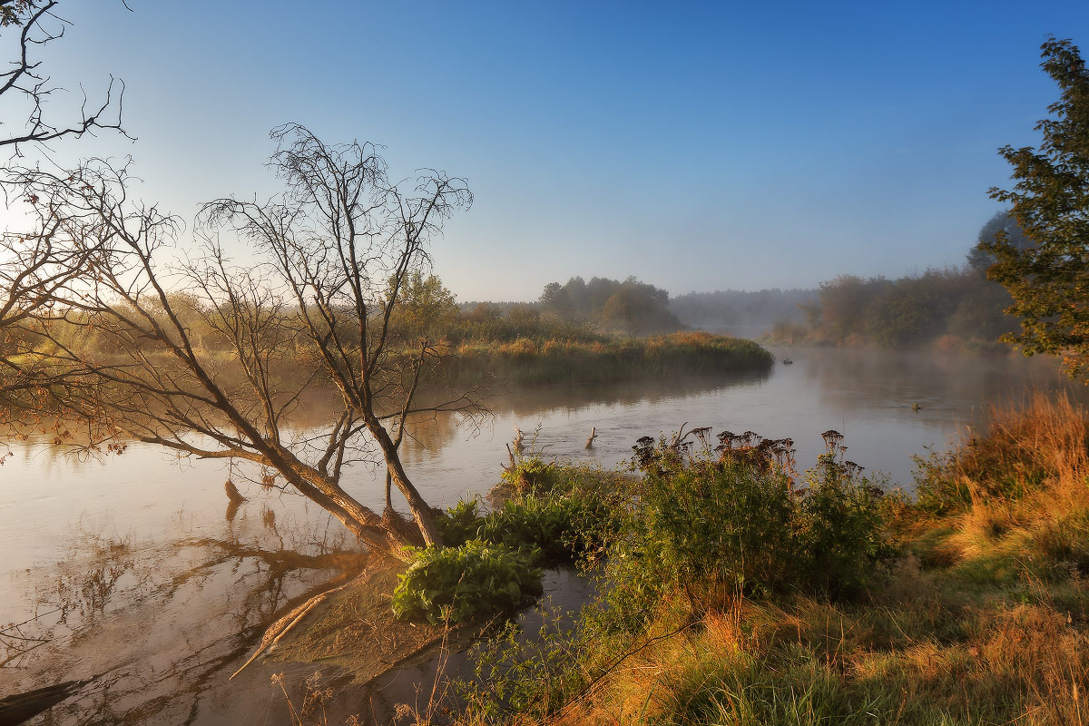 Утренний Неман