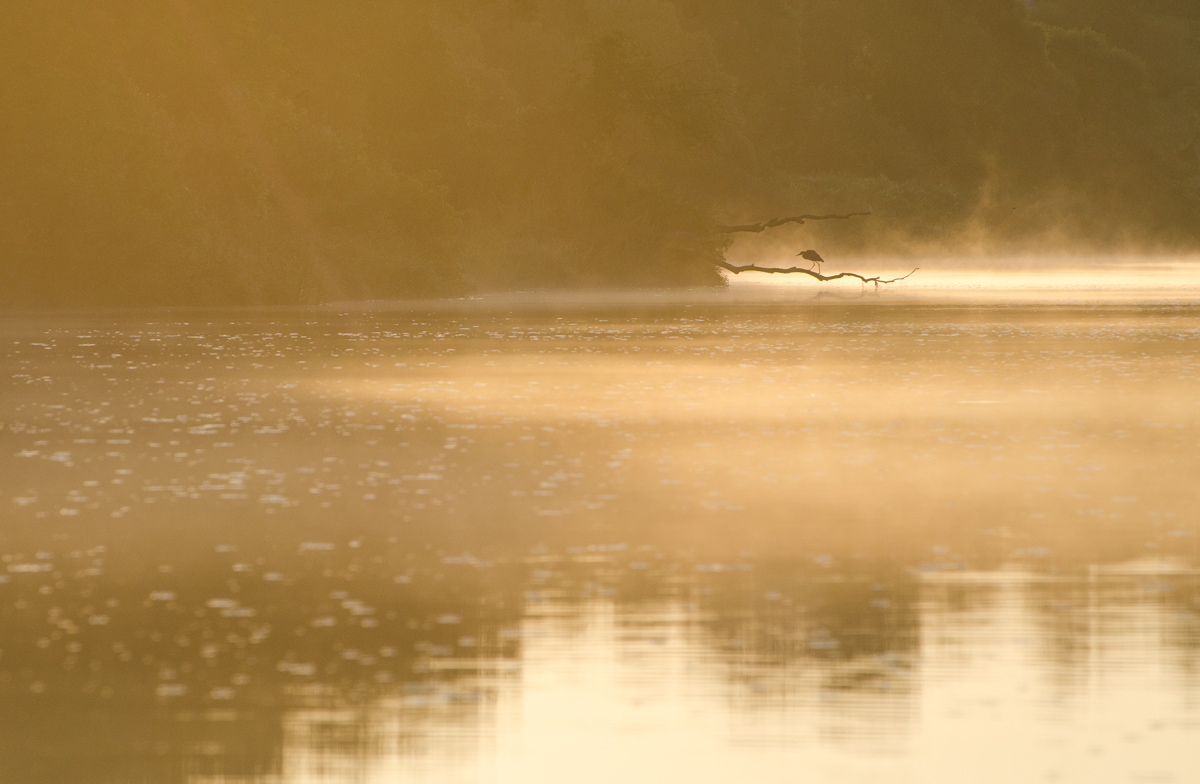 Только стоячие места