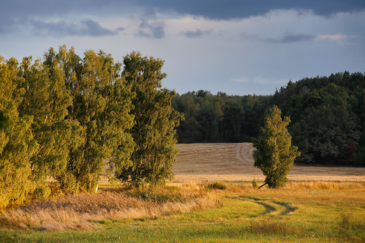 Ощущение осени