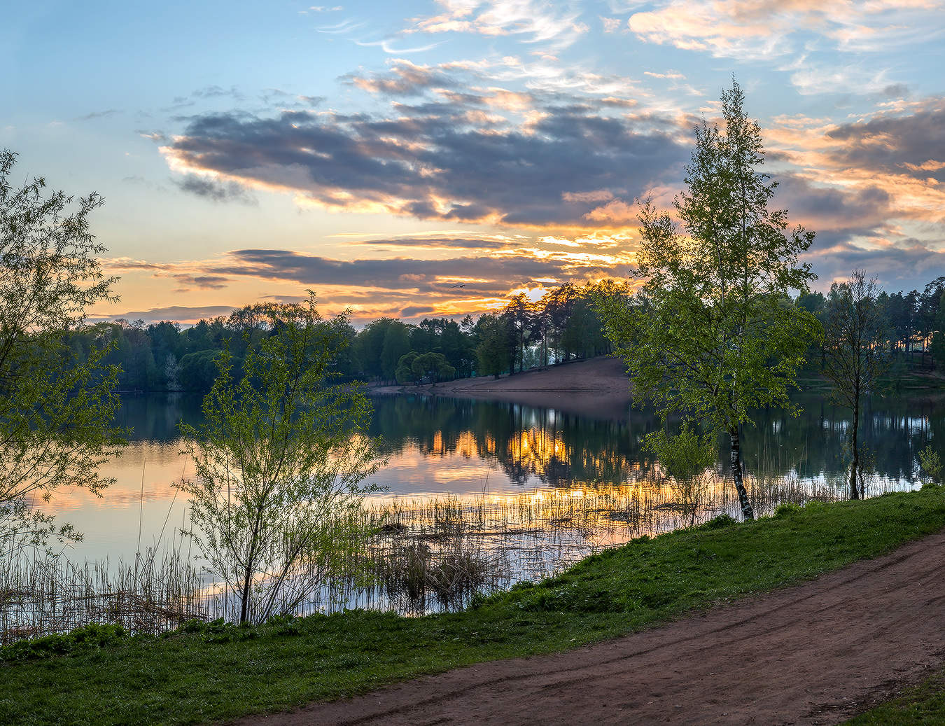 Весенний вид.