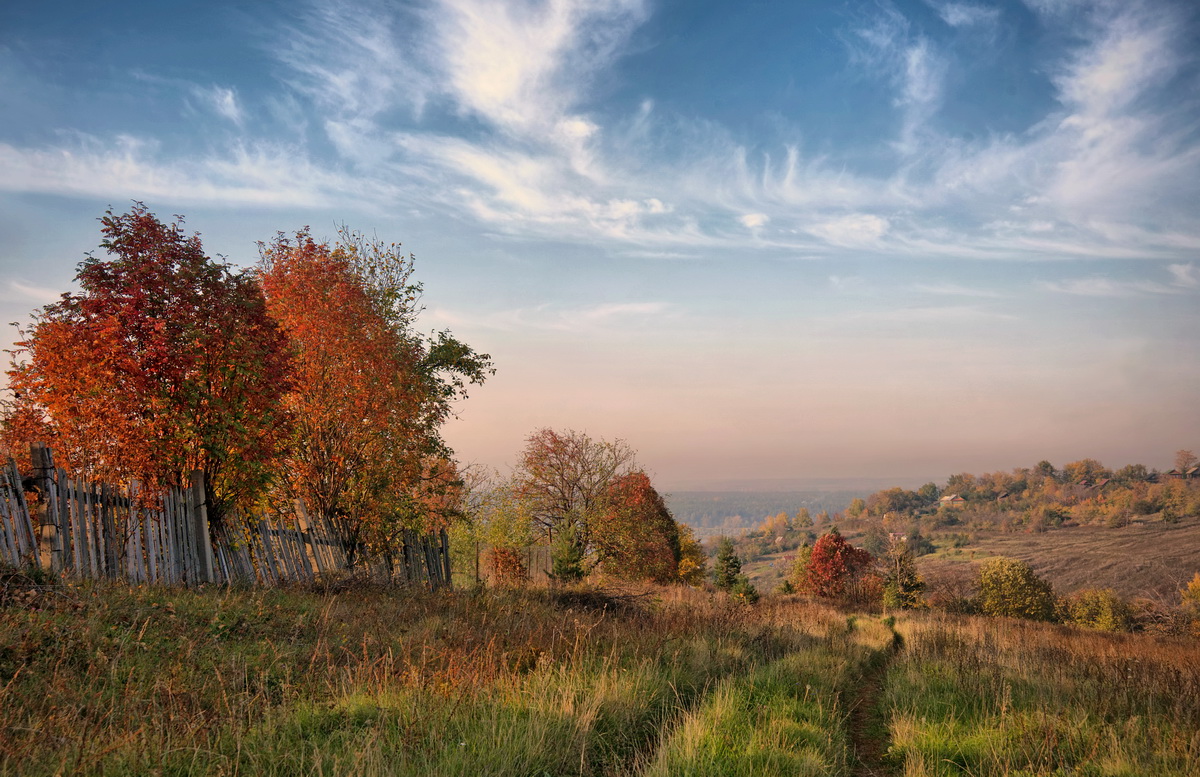 Утренние росы