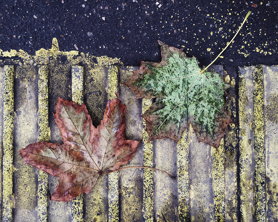 асфальтовая живопись