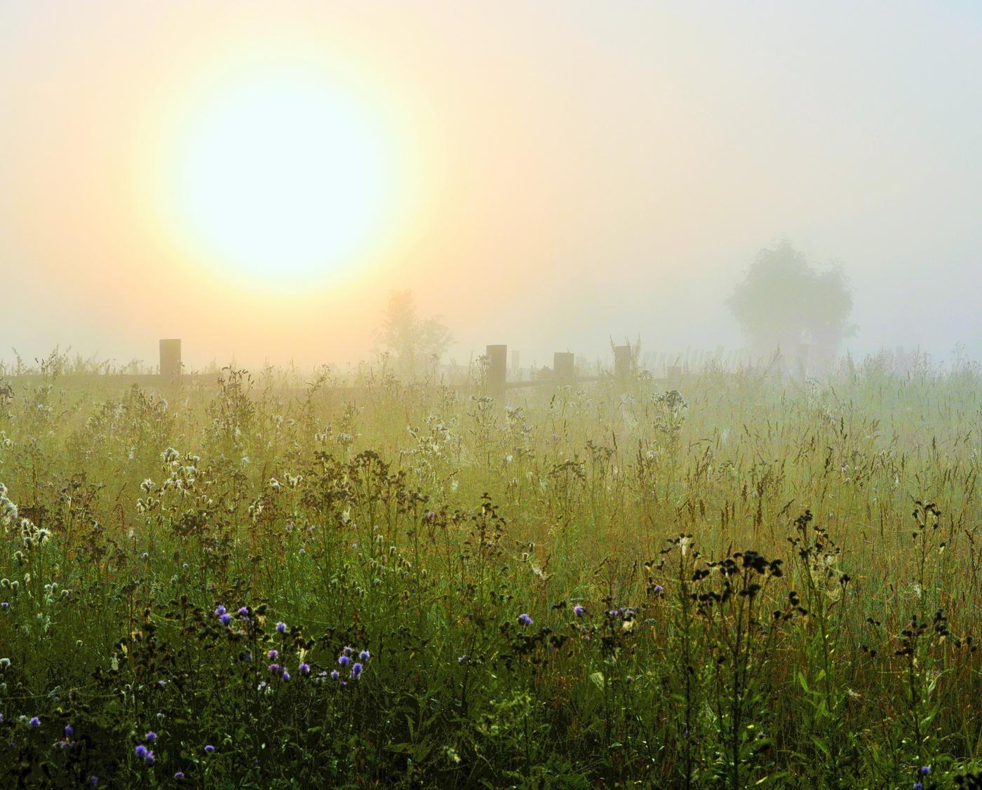 Световые галлюцинации (Утренний глюк)