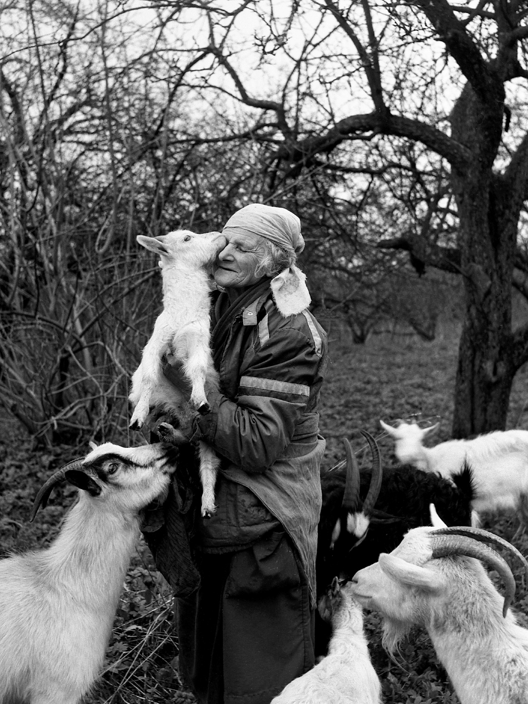 Встреча в монастырском саду. 1986 г.