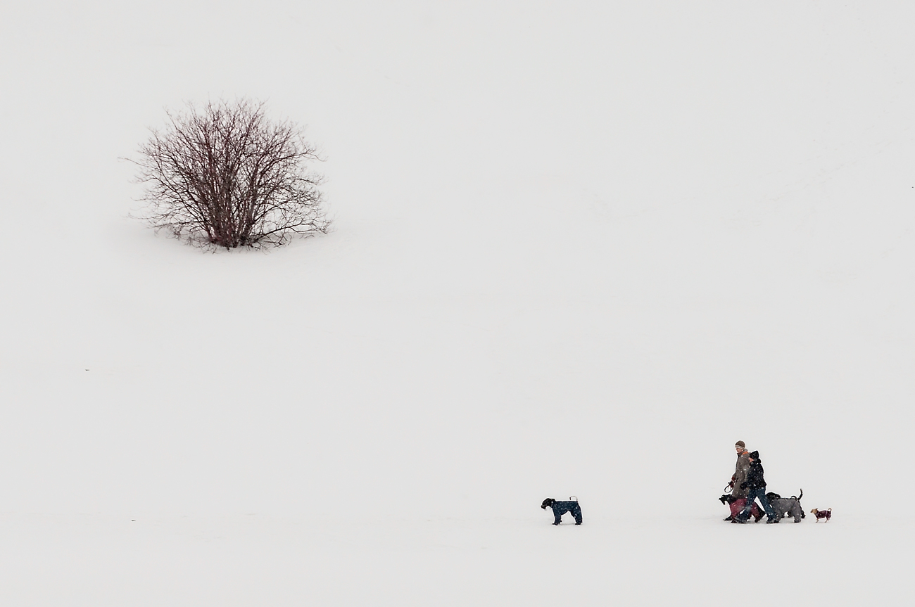 В снежном плену