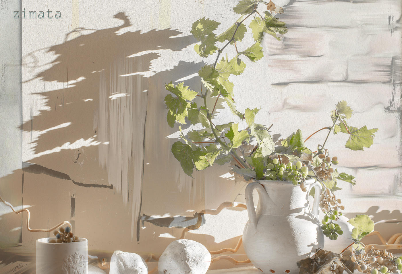 молодой виноград