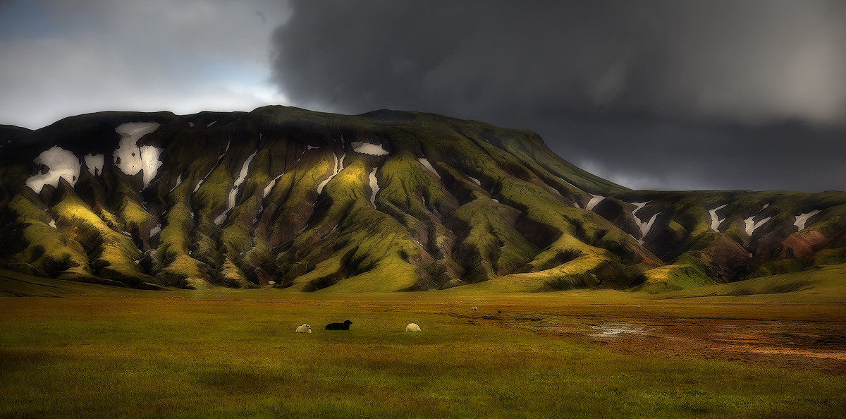 Будет дождь?