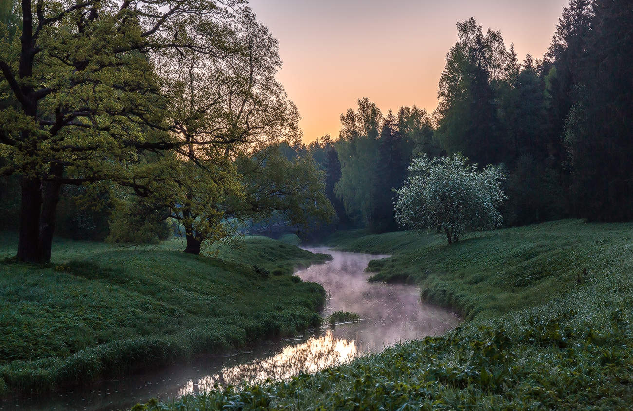 Павловский вид на заре.
