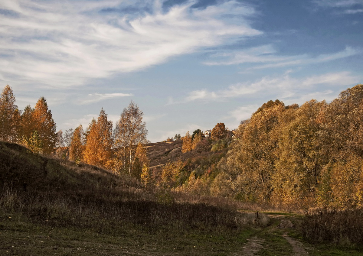 Тихо бродит осень