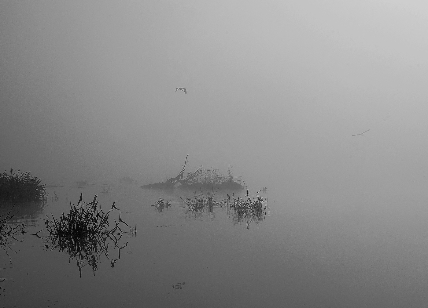 Осеннее утро