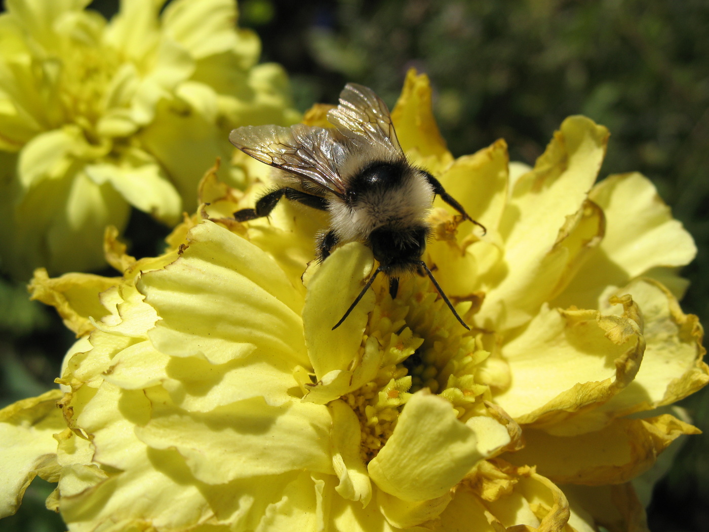 Чем глубже, тем вкусней!