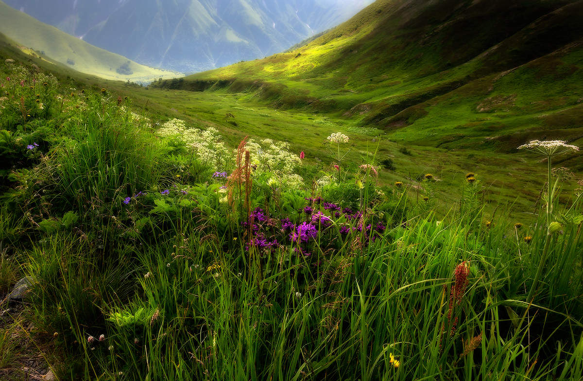 На хОлмах Грузии...