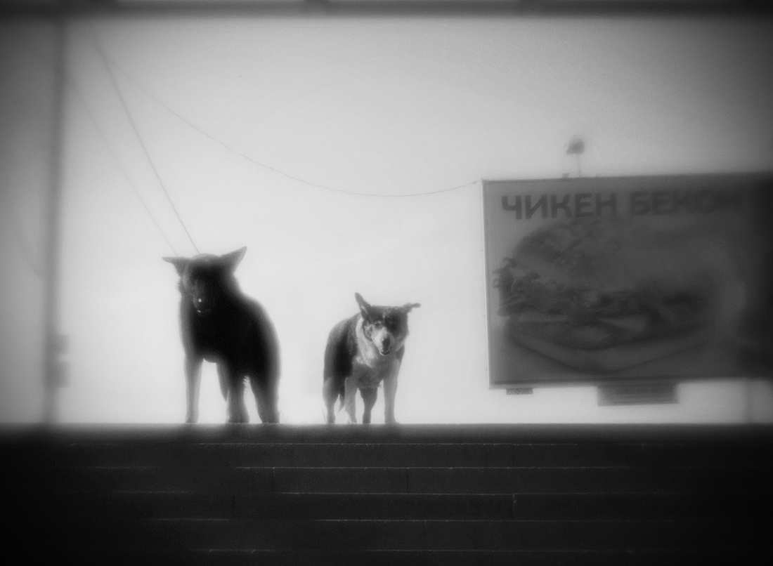 заходи, если чё