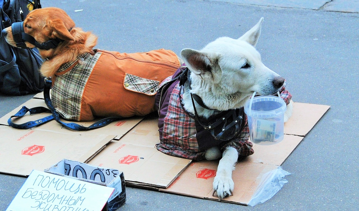 Не проходите мимо ...