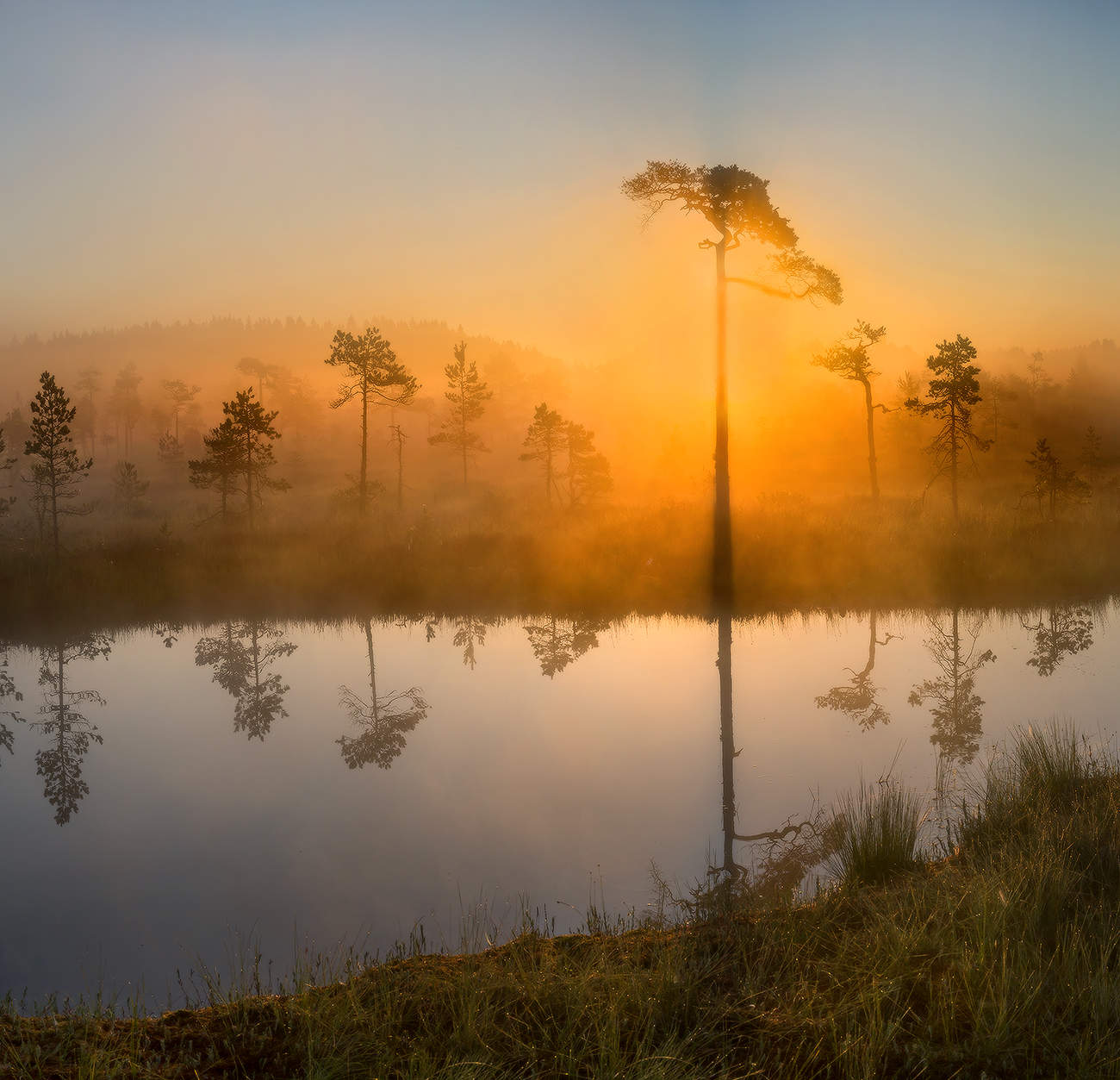 Из света сотканный.