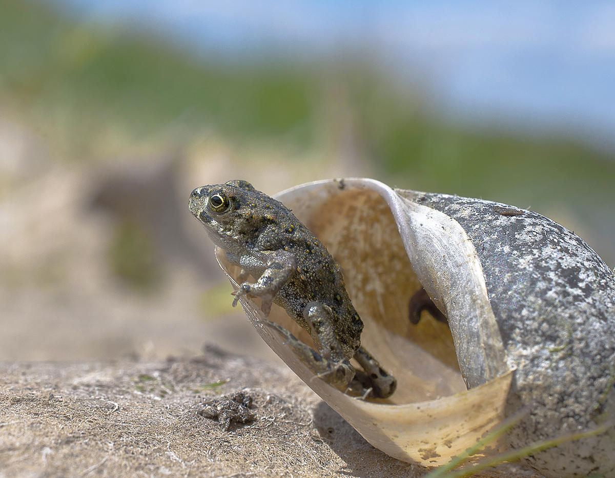 Вот он какой,большой мир.