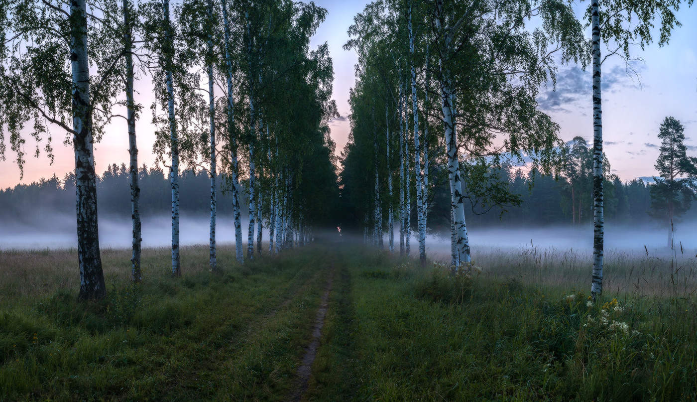 Пройтись по весенней аллеи, на заре, с туманом вместе.