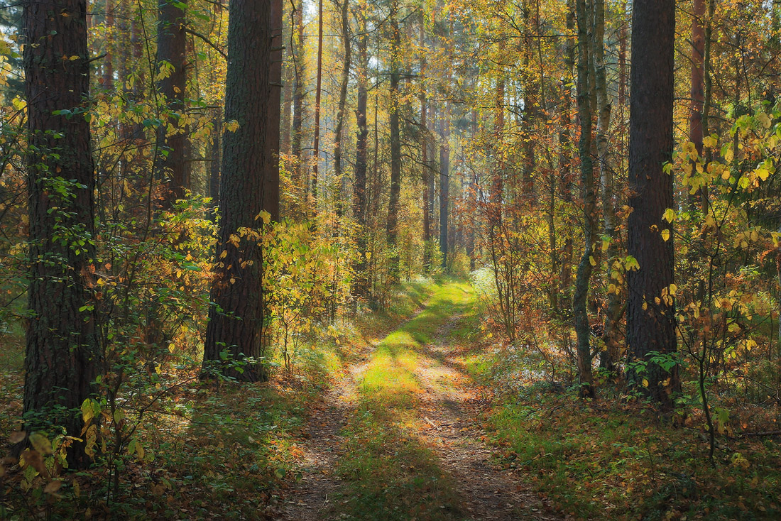 Впечатление