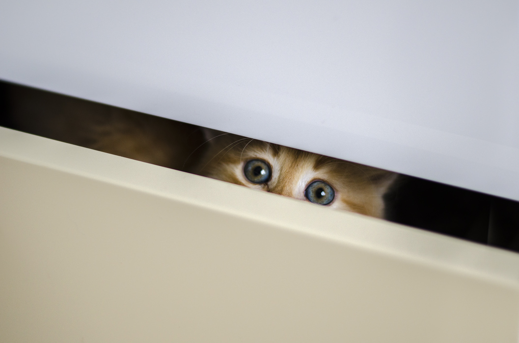 Глаза в глаза