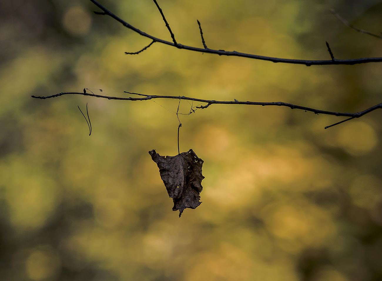 Не долетел.