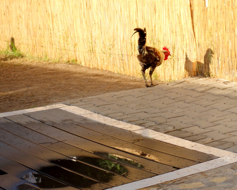 Глаза в глаза