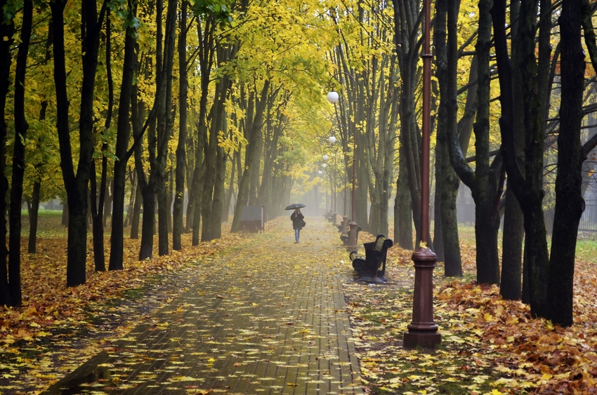 Золотая осень